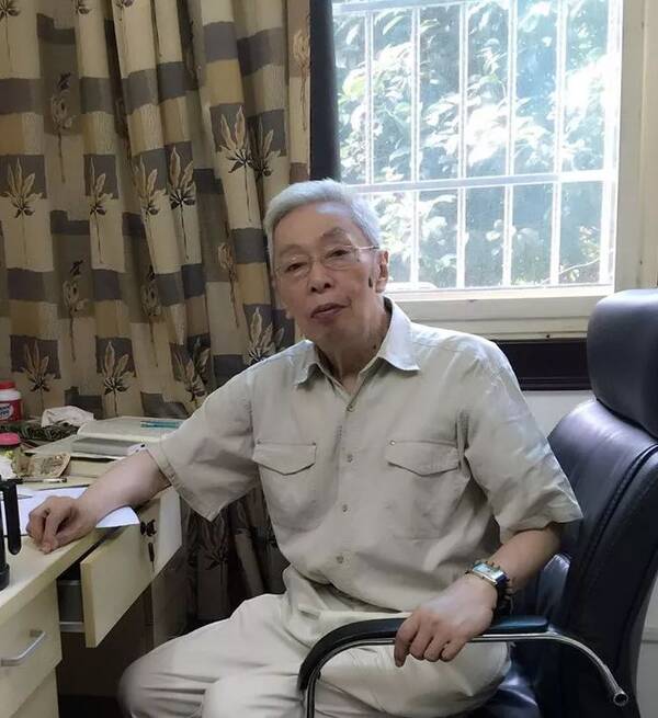 戴燕:一代有一代之学术,一代有一代之思想丨《陟彼