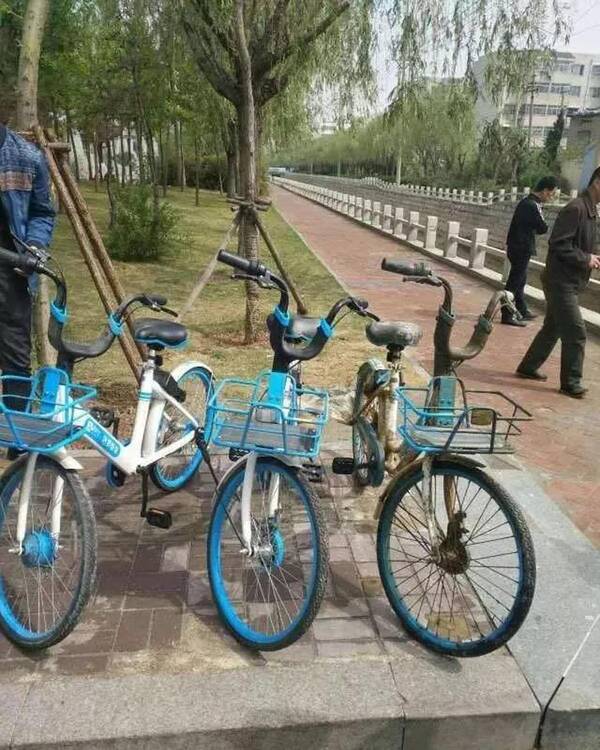 山东滨州一男子涉嫌毁坏共享电车被抓