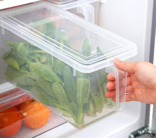 几款使你的食物在冰箱里长期处于新鲜状态的保