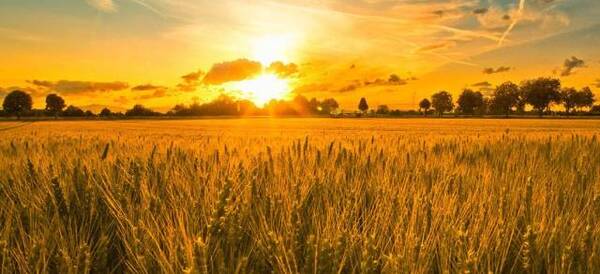 乡村振兴新政:发展农旅融合可获建设用地指标