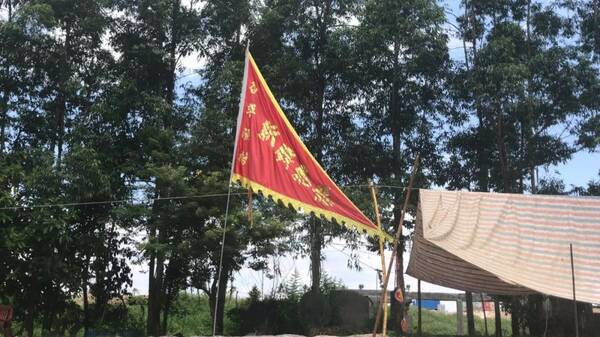 古劳水乡龙舟赛详细比赛规则抢先看!