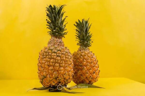 超多汁的手撕菠萝,不泡盐水,芯比肉还甜!| 企鹅