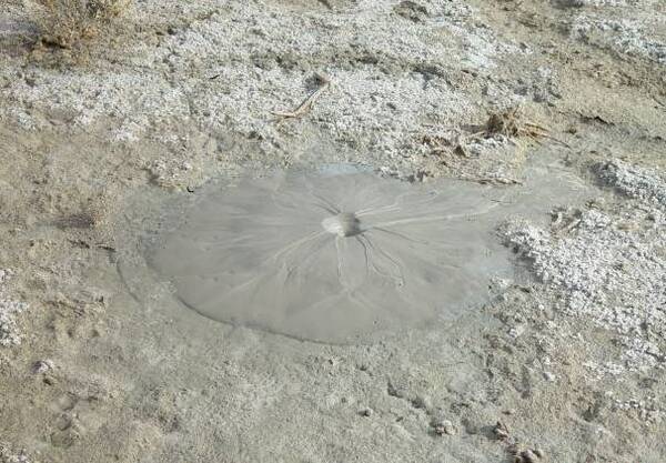 松原稻田里出现这一现象让当地农民害怕了 唐