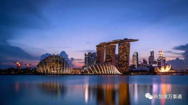 为什么超多人选择在新加坡当华文幼师?