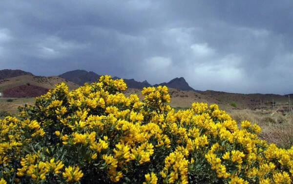 (文/内蒙古旅游网:杨洁) 图:已标明出处,部分来源网络