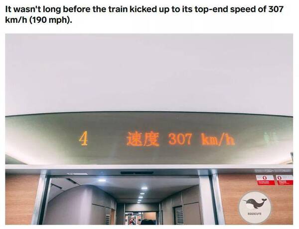 外国小哥被中国高铁的速度惊呆,网友:淡定,小场