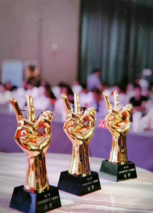 中国新歌声志愿服务小结