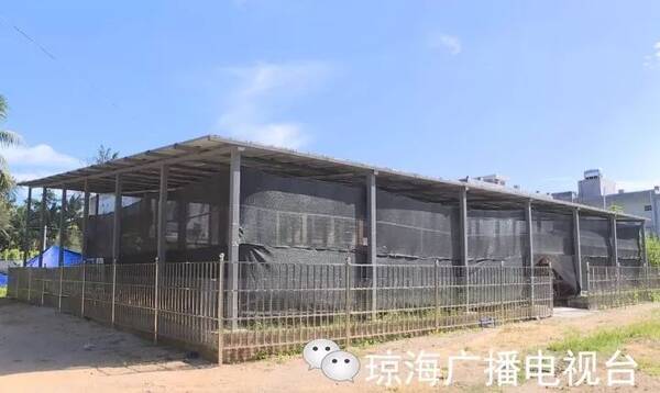 长坡镇光伏发电扶贫项目运行平稳 投产后纯收