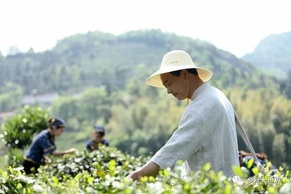 本周六18:05,《乡村大世界》走进安徽岳西。