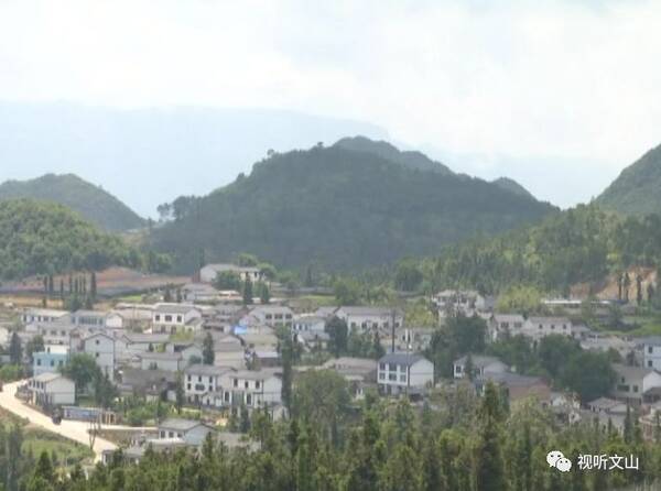 弘扬西畴精神 让昔日荒山变绿洲