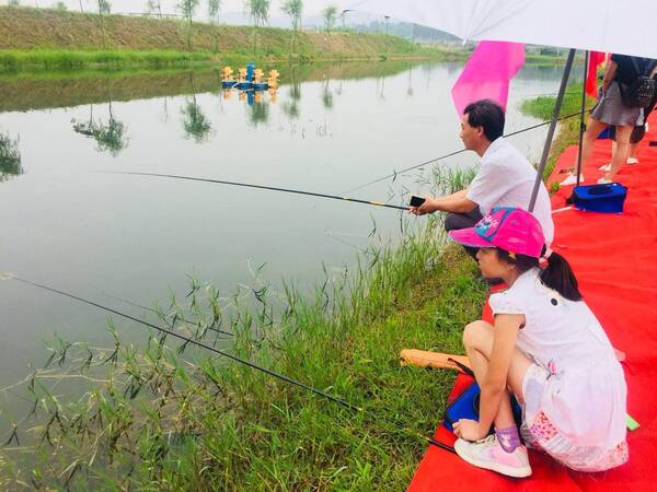 2018中国合肥·庐江放马滩龙虾节