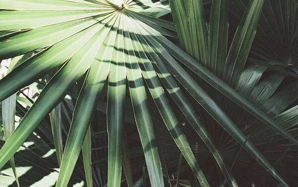 热点 | 银保监会今年开出罚单超1400张 消费金