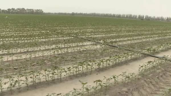 成立合作社 职工干劲足