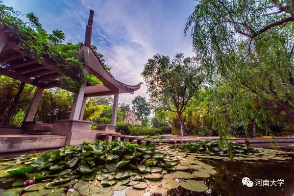 全部一本招生!河南大学2018年本科拟招9600人
