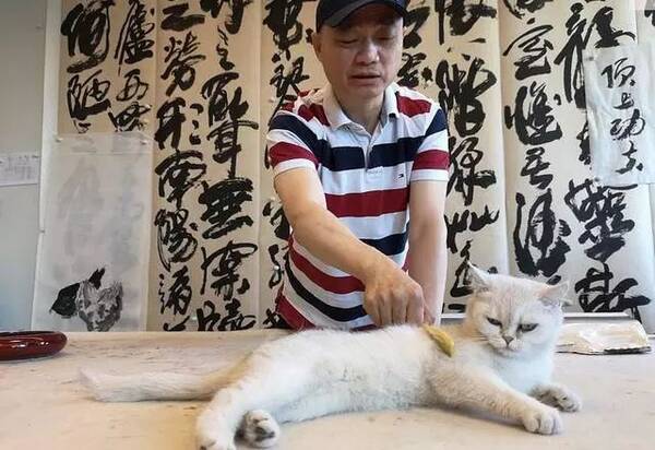 大逆转!崔永元道歉音频曝光…遭死亡威胁!称已