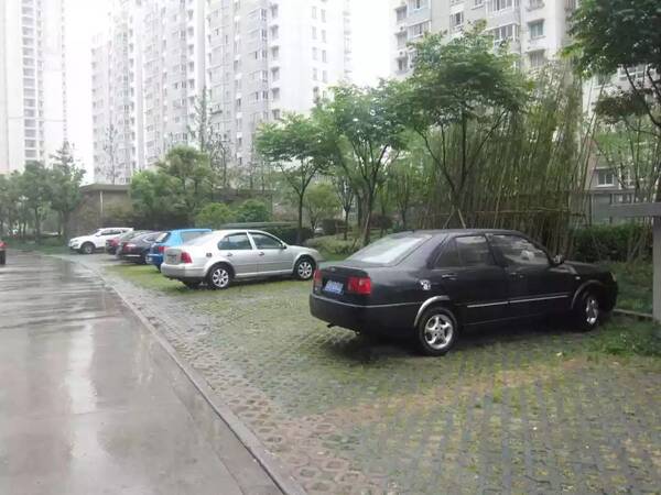 资阳人注意!新.规终于来了!买过停.车位的人后