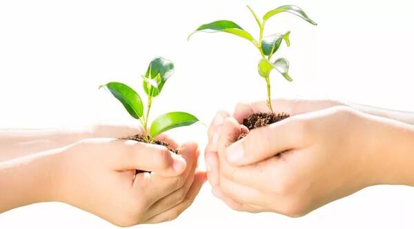 自愿戒毒治疗为什么要收费?