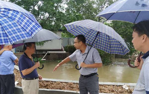 台风艾云尼引起强降雨:端州四大街道情况各不
