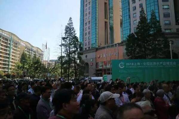 福建闽清:农业龙头企业特色产品上海参展受热