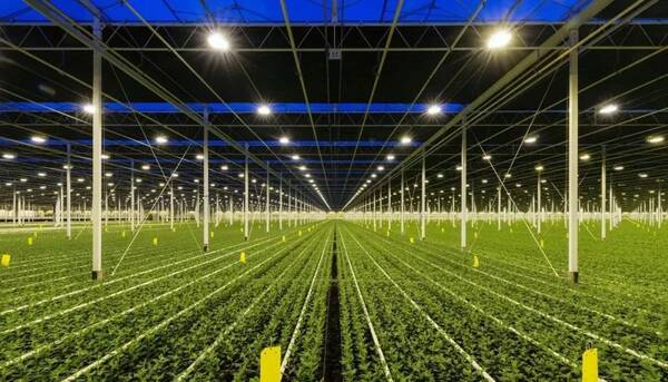 荷兰智能温室的现代农业!