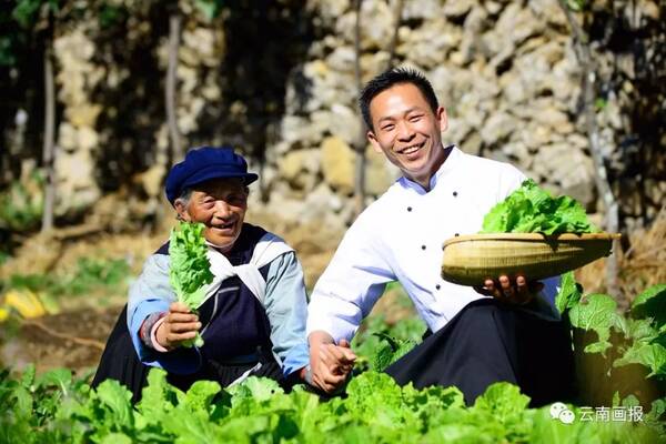 丽江:打造世界一流绿色食品牌先行先试区
