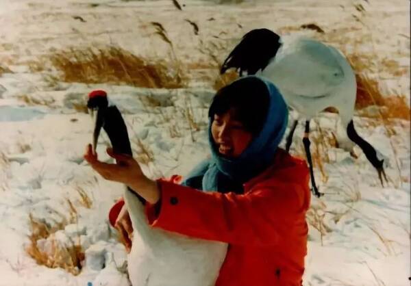 小崔冒死爆娱乐圈丑闻!人民日报怒批:中国精神