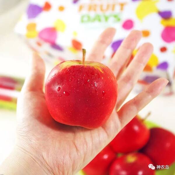 新西兰Rockit苹果只有网球大小,卖16元一个,比