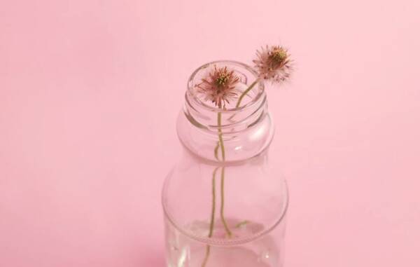 拯救书荒|来一波深情男主系列