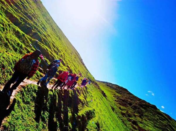 说走就走|抖音网红九顶山,最美花期一起去看星空