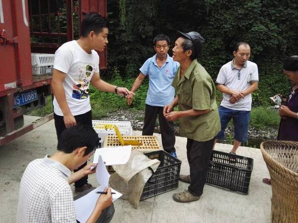 白杨溪村领航人 ——记四川万源市大竹镇白杨溪村90后
