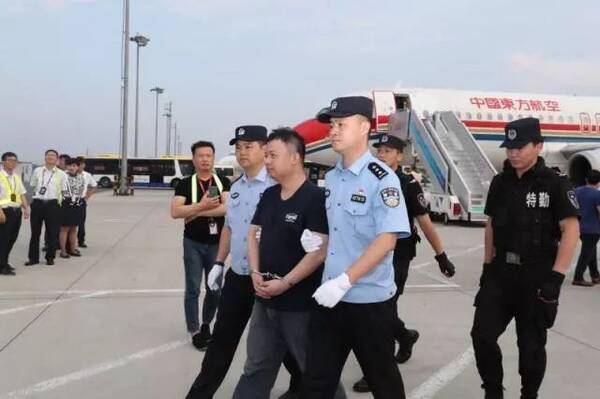 红通外逃人员王颀投案记:上了追逃令后觉得还