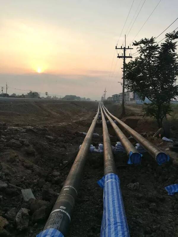 听惯了维京吼,这种赞赏同样会让你热血沸腾!~