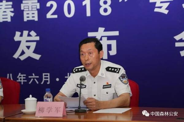 权威风向丨春雷行动查办涉林案件3.6万余起 金