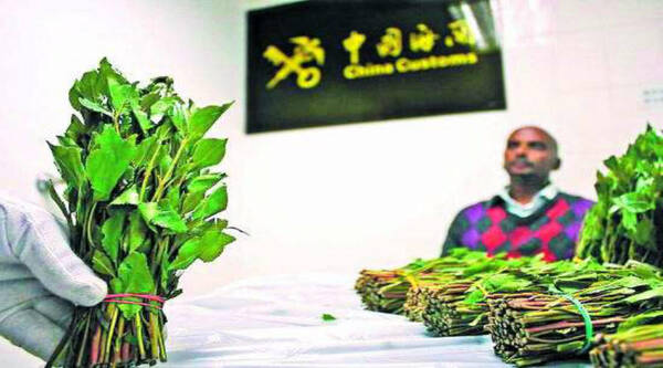 安全不成瘾害你没商量,第三代毒品的危害是