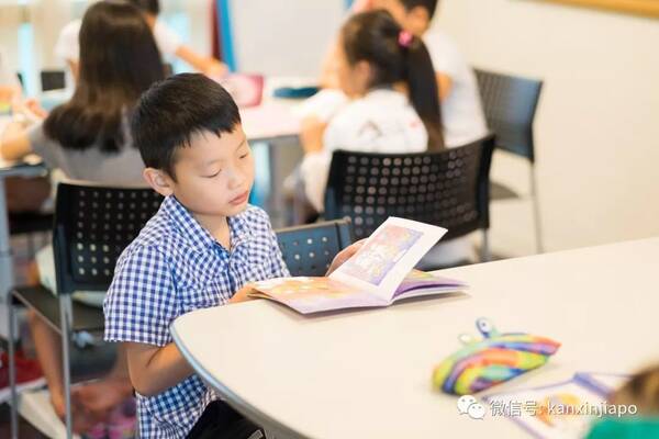 新加坡英国文化协会英语夏令营,让您的孩子自