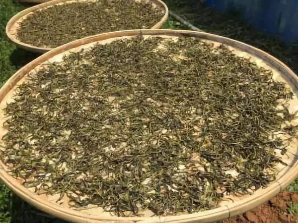 老挝丰沙里预计2018年向中国出口茶叶300吨,
