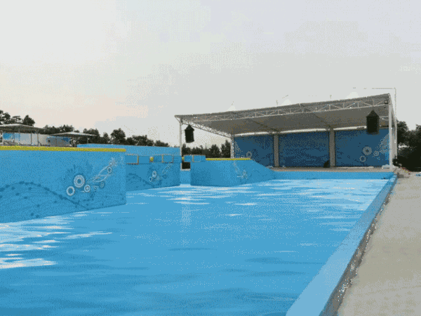 泳池 游泳池 640_480 gif 动态图 动图