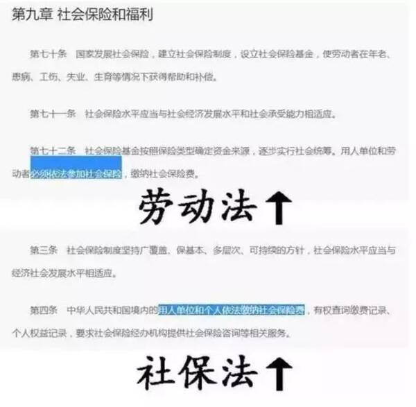国地税合并后1号文件:限时补缴社保费!社保严