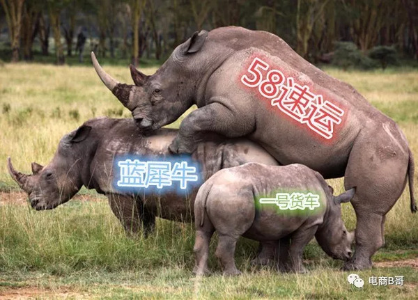 武汉货运司机:我恨死货拉拉、58速运这些平台