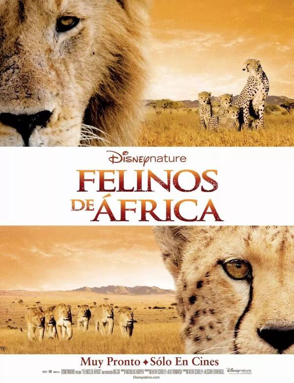 精彩看点:这部动物界的史诗级纪录片,有着电影般的配乐,童话般的叙事