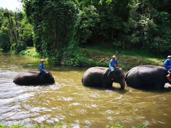 泰北南邦旅行时装札记