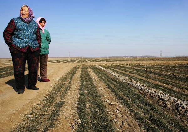农民朋友又能领钱了,有偿退地正在试点,那么是