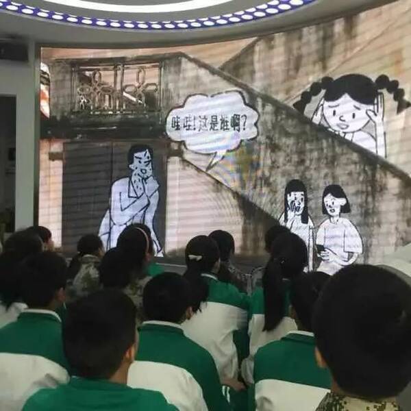 刺桐花未检|法治进校园之学期工作小结