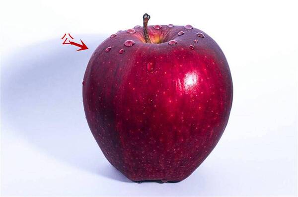 挑苹果要分公母,4个小技巧让你挑出甜苹果,你