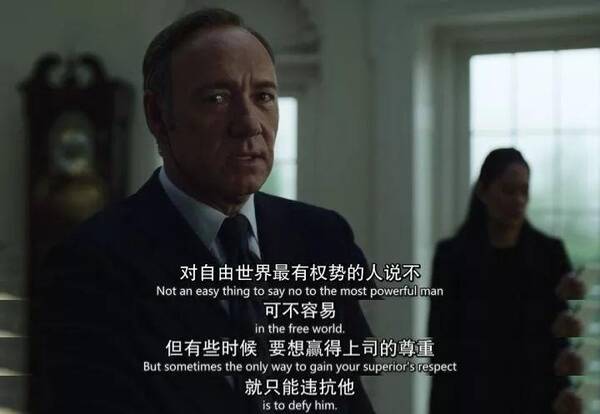 小哥饲料:最完美的离婚