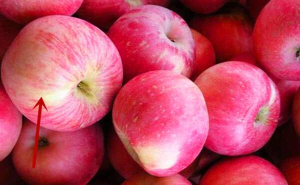 挑苹果要分公母,4个小技巧让你挑出甜苹果,你