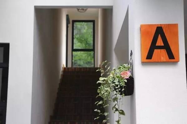 近的星空小院民宿,躺在床上就能看见银河丨沙村花坞