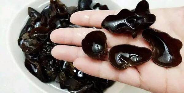 黑木耳螃蟹造句图片