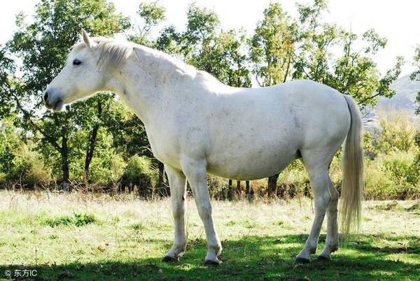 门前有马非为富,家中有人不算穷,农村的老人