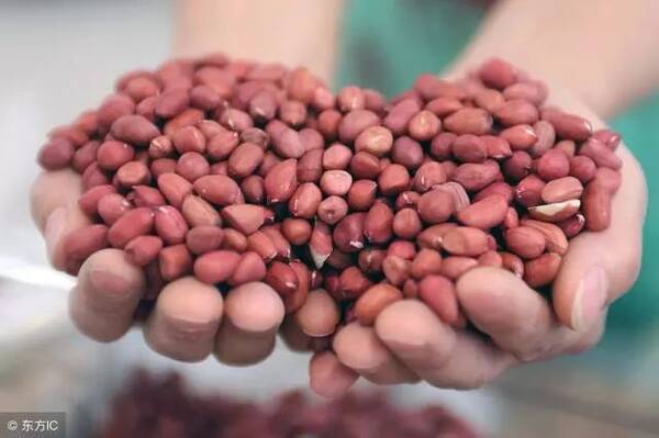 花生叶面肥怎么施?花生叶面肥的施用方法